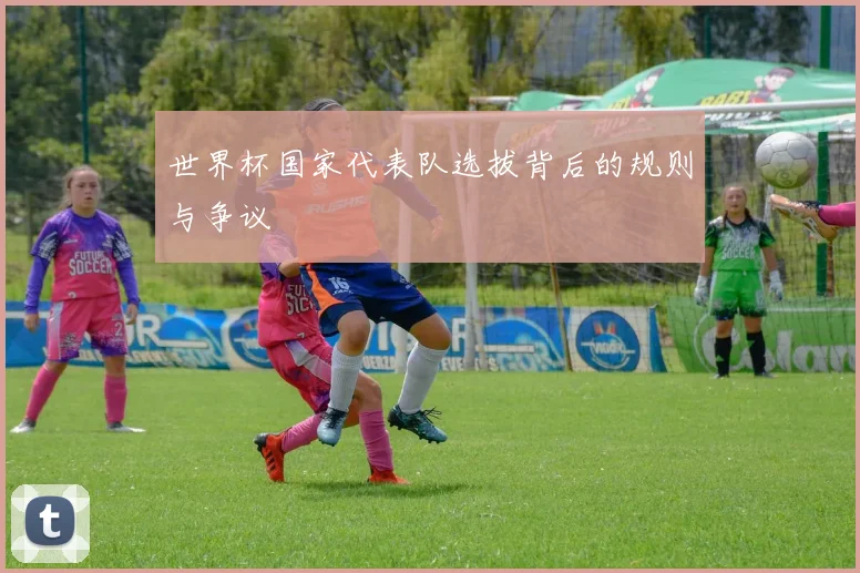 世界杯国家代表队选拔背后的规则与争议
