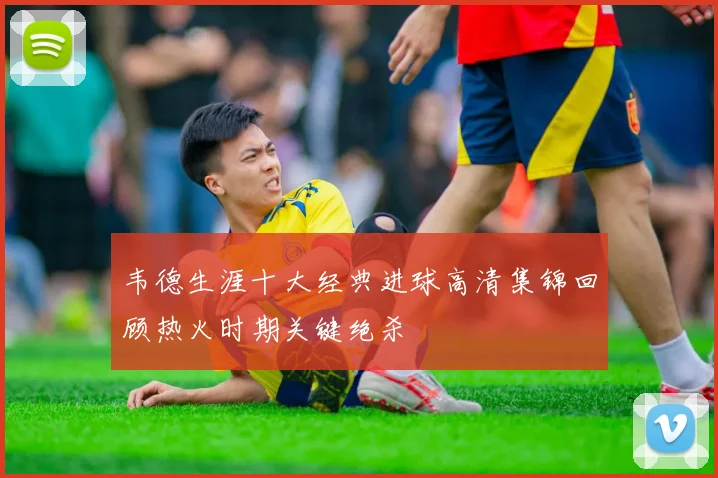 韦德生涯十大经典进球高清集锦回顾热火时期关键绝杀