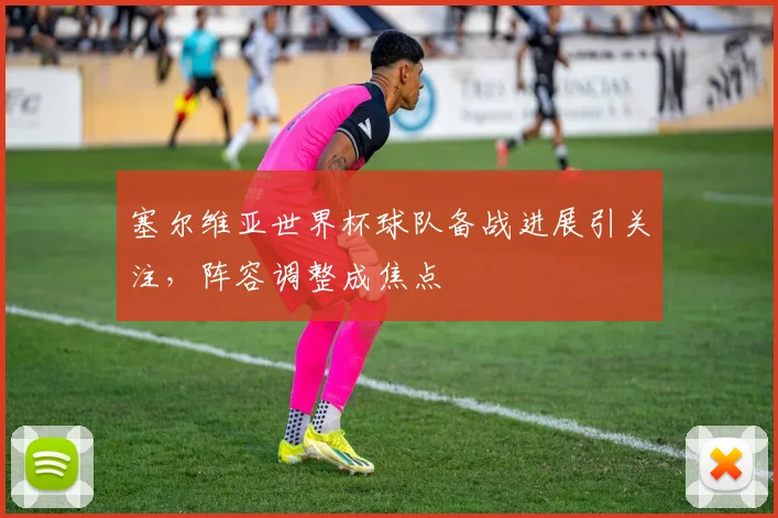 塞尔维亚世界杯球队备战进展引关注，阵容调整成焦点