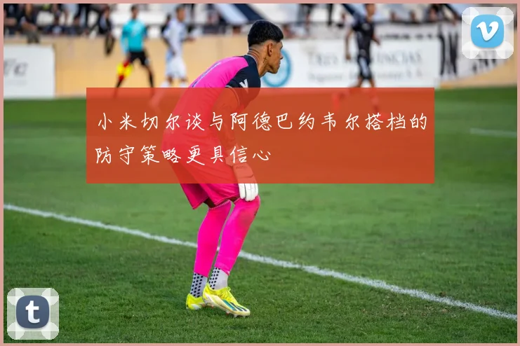 小米切尔谈与阿德巴约韦尔搭档的防守策略更具信心
