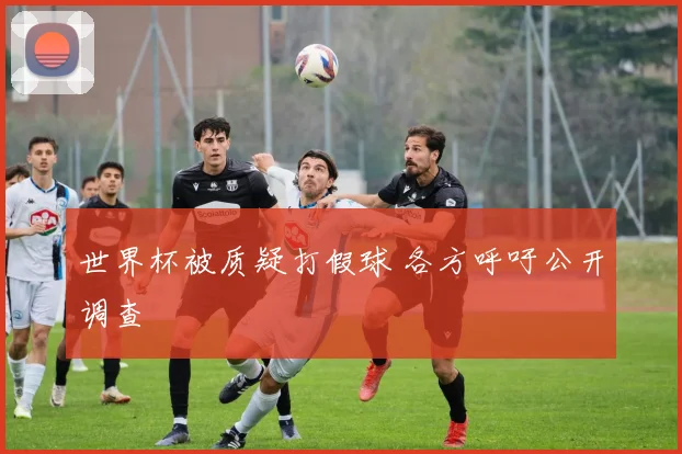 世界杯被质疑打假球 各方呼吁公开调查