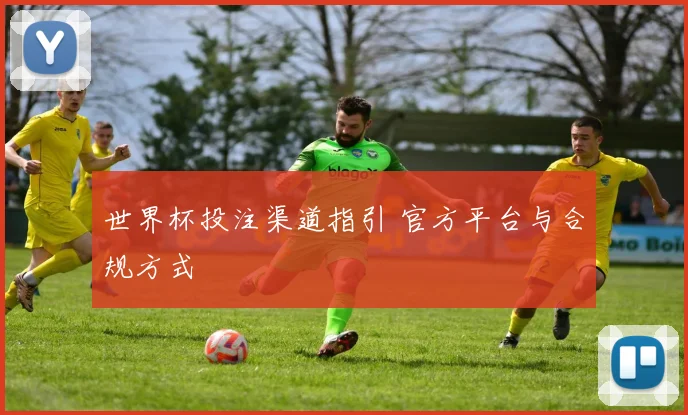 世界杯投注渠道指引 官方平台与合规方式