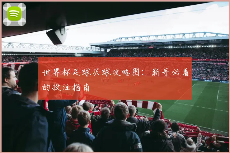 世界杯足球买球攻略图：新手必看的投注指南