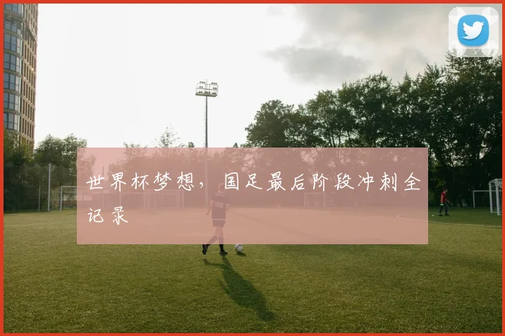 世界杯梦想,国足最后阶段冲刺全记录