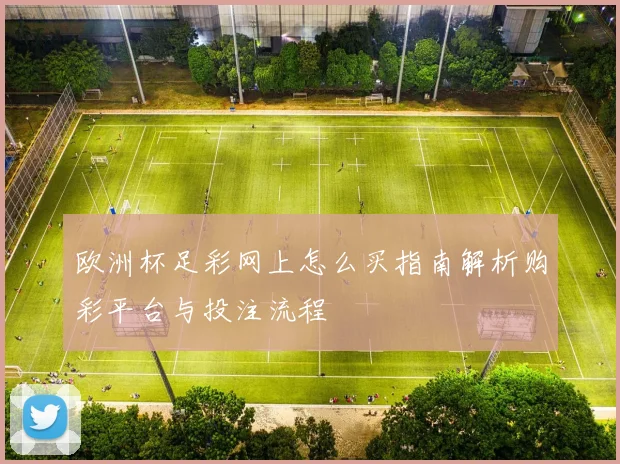 欧洲杯足彩网上怎么买指南解析购彩平台与投注流程