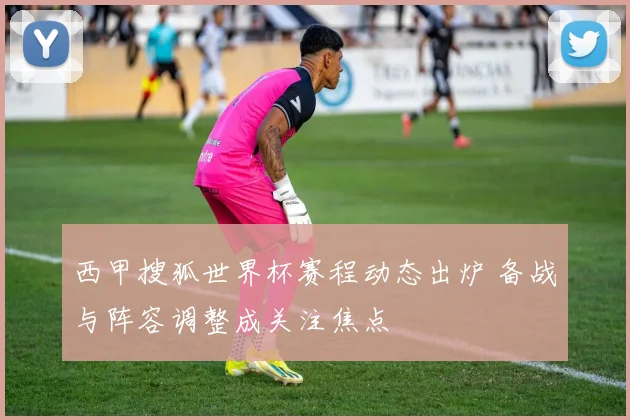 西甲搜狐世界杯赛程动态出炉 备战与阵容调整成关注焦点