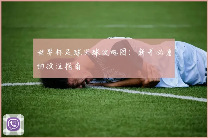 世界杯足球买球攻略图:新手必看的投注指南