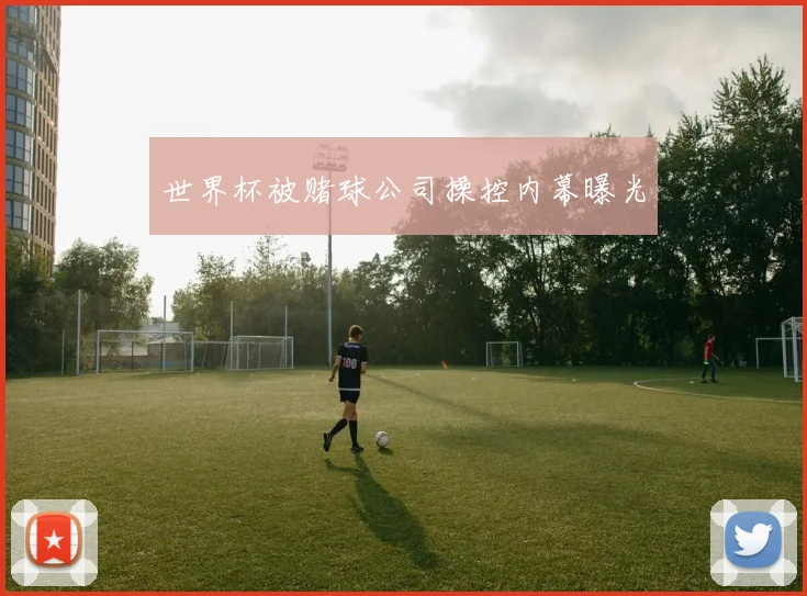 世界杯被赌球公司操控内幕曝光