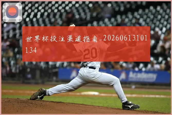世界杯投注渠道指南_20260613101134