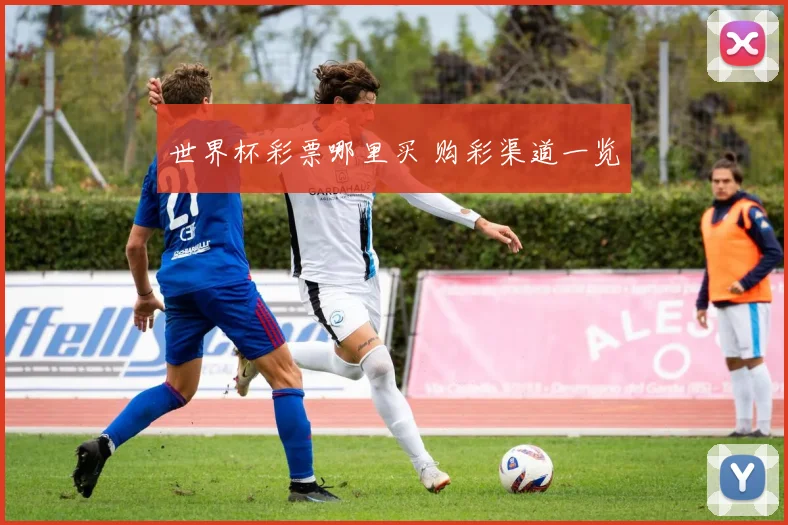 世界杯彩票哪里买 购彩渠道一览