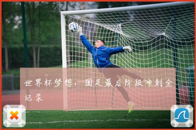 世界杯梦想,国足最后阶段冲刺全记录