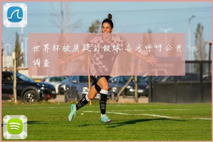 世界杯被质疑打假球 各方呼吁公开调查