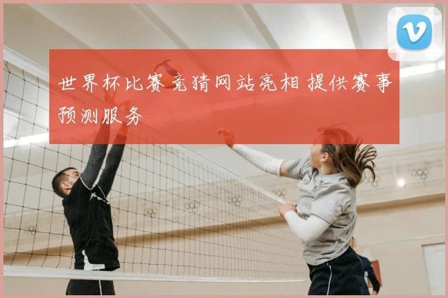 世界杯比赛竞猜网站亮相 提供赛事预测服务